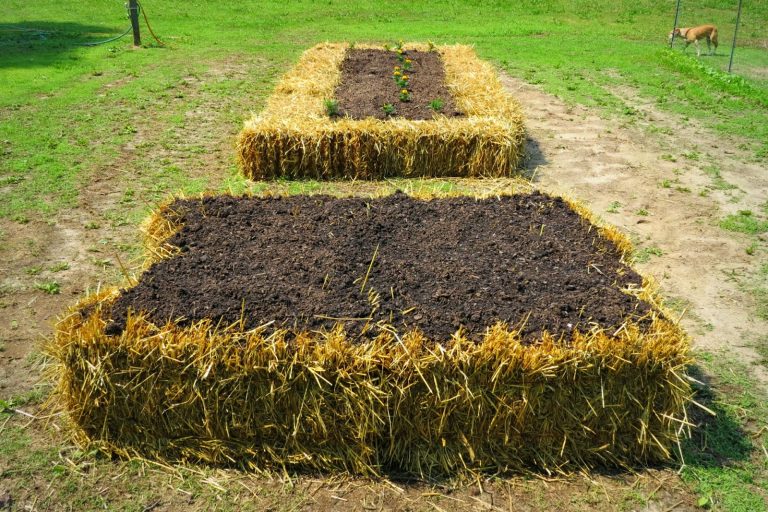 Raised garden beds edged with straw bales